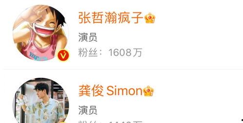 最新爆料陈宣璐是谁啊图片,揭秘网络热议的神秘美女